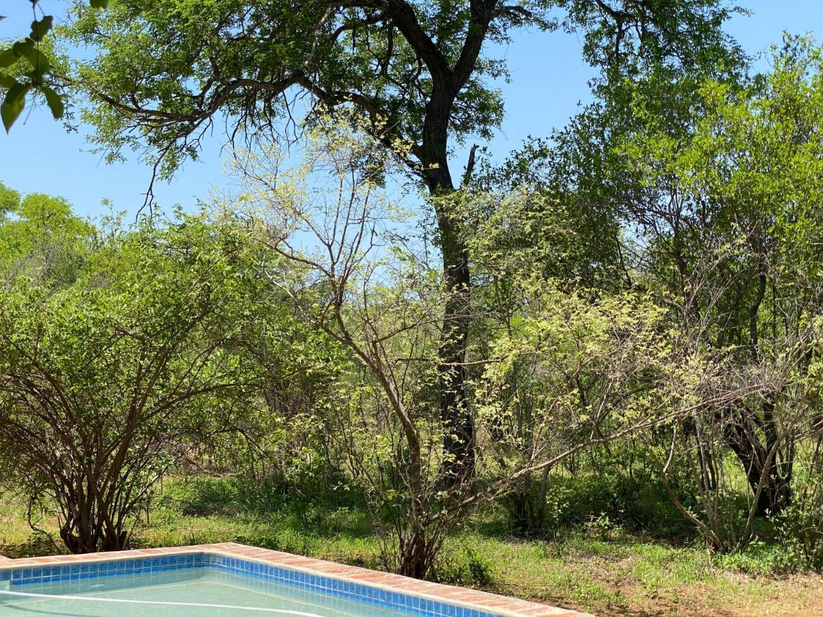 The Bush Hut Villa Hoedspruit Dış mekan fotoğraf