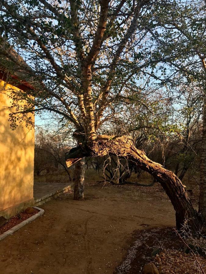 The Bush Hut Villa Hoedspruit Dış mekan fotoğraf